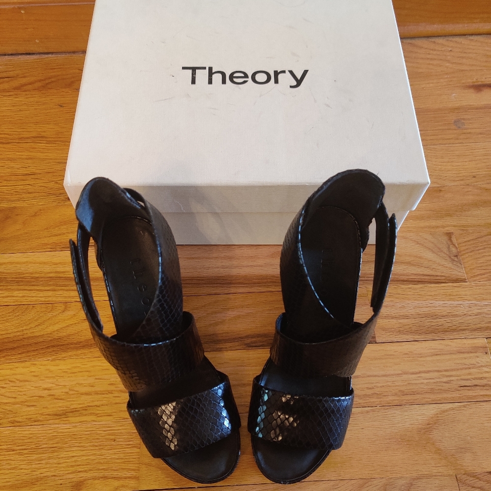 Theory Platform/Wedge